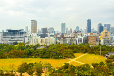 Trees and buildings in city against sky