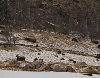 View of snow covered land