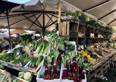 Panoramic shot of potted plants for sale at market stall