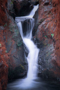 View of waterfall in forest