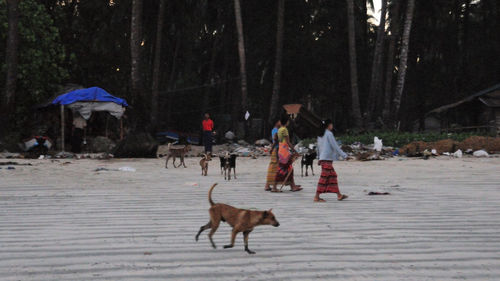 People walking on street in forest