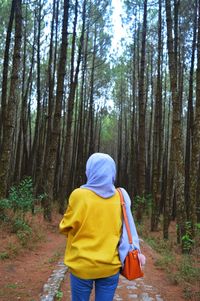 Rear view of woman wearing hijab walking on walkway by trees at forest