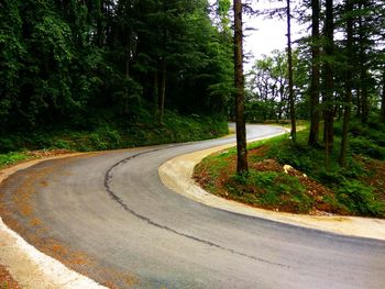 Empty winding road amidst trees in forest