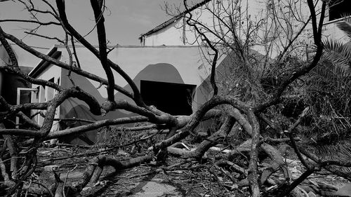 Bare tree by old building against sky