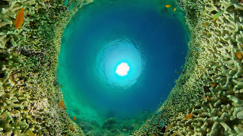 green