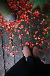 Low section of person standing by fallen maple leaves on footpath during autumn