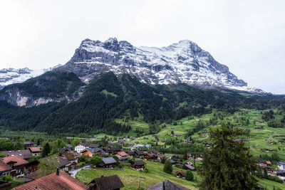 mountain