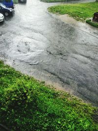 Car on road