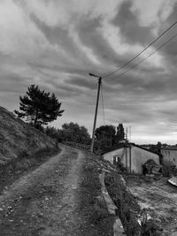 Surface level of country road along trees