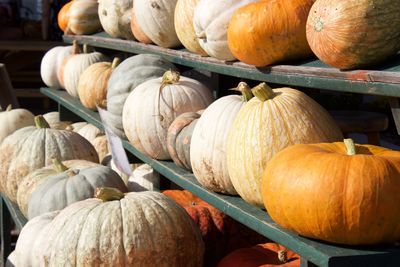 Pumpkins for sale at market stall