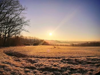 Scenic view of field against sky during sunset