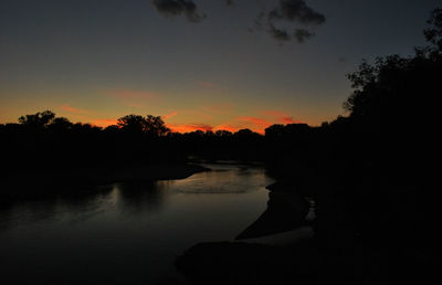 Silhouette of trees at sunset