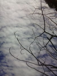 Bare tree against cloudy sky