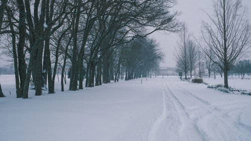 winter