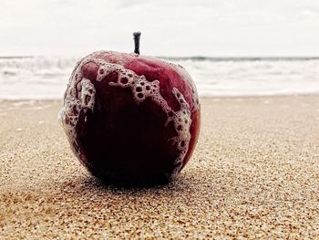 Close-up of strawberry on sand at beach against sky