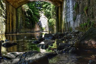 View of waterfall along trees