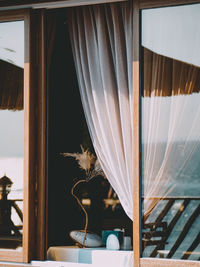 Close-up of potted plant by window at home