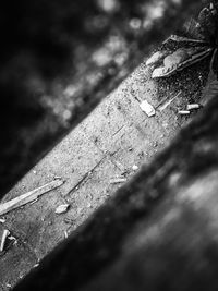 Low angle view of leaves against sky