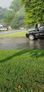 Car on street in field