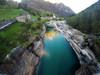 High angle view of river amidst trees