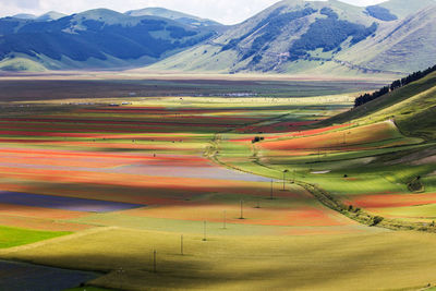 Scenic view of agricultural field against mountains