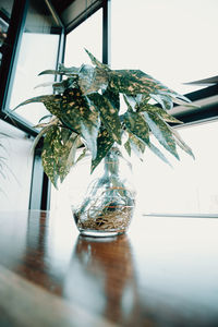 Close-up of glass vase on table