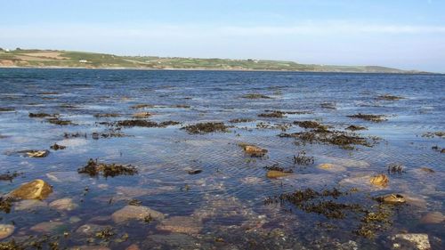 Scenic view of sea