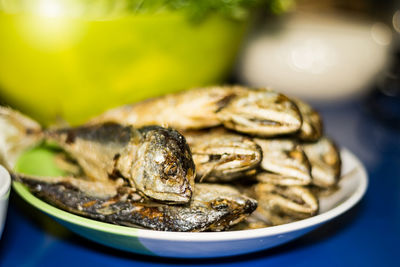 Close-up of food in plate