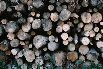 Full frame shot of logs
