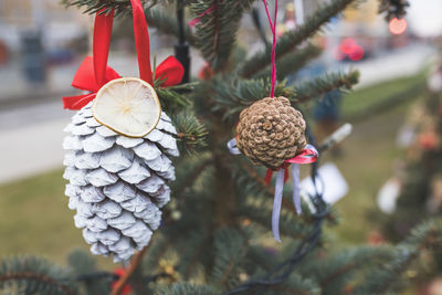 Painted white pine cone an dried lemon on christmas tree. diy decoration ideas for children