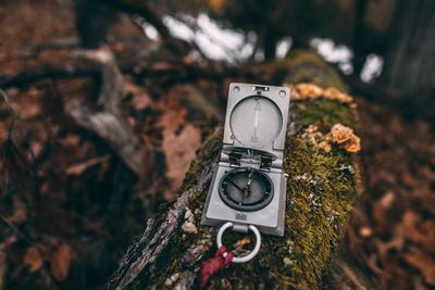 Close-up of navigational compass on tree trunk