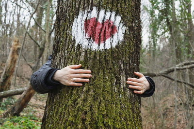 Close-up of man holding tree trunk in forest