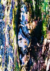 Full frame shot of tree trunk