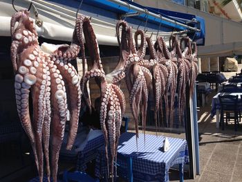 Close-up of octopus hanging for sale at market stall