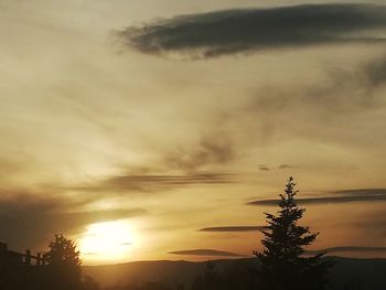 Low angle view of silhouette trees against orange sky