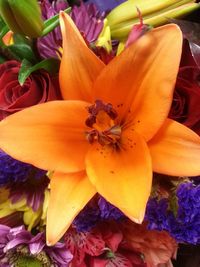 Close-up of yellow flower