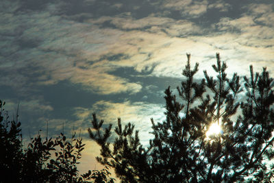 Low angle view of silhouette trees against sky at sunset