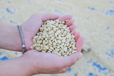 Cropped hands holding beans