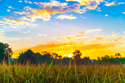 Scenic view of field against sky during sunset