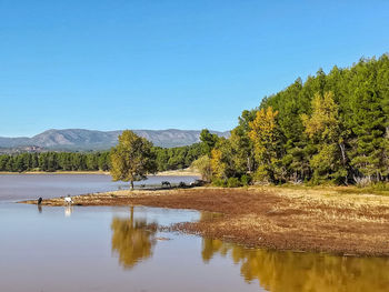 Scenic view of lake by trees against clear sky