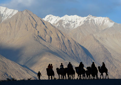 Group of people riding camel on mountain