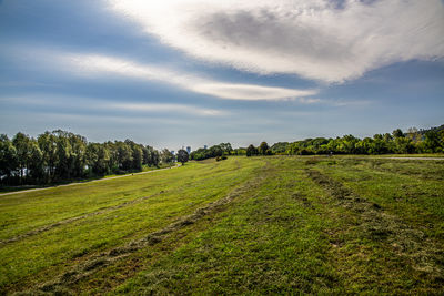 Scenic view of field against sky