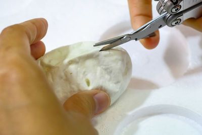 Close-up of cropped hand cutting snake egg