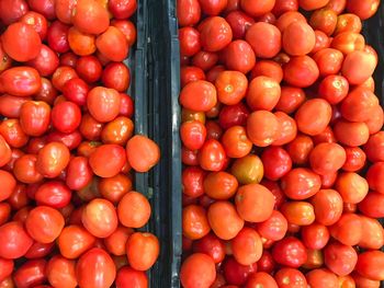High angle view of tomatoes for sale at market stall