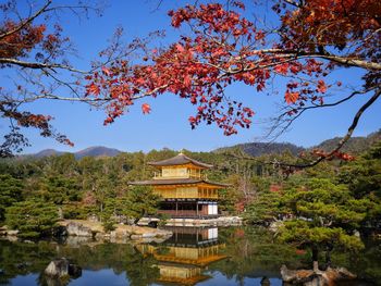 Scenic view of lake by trees against sky