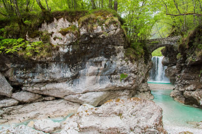 View of waterfall in forest