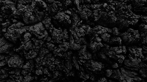 Full frame shot of leaf