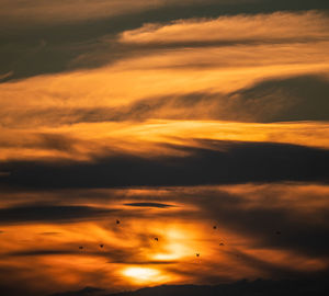 Low angle view of orange sky