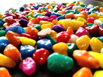 Close-up of multi colored candies