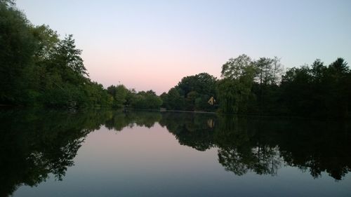 Reflection of trees in calm lake